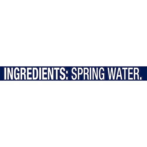 Poland Spring Maine Spring Water Bottles, 24 Pack – Crisp, Still Bottled Water with Naturally Balanced Occurring Minerals & Electrolytes for Taste - 16.9 Fl Oz