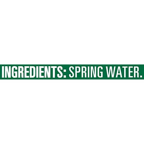 Poland Spring Maine Spring Water Bottles, 24 Pack – Crisp, Still Bottled Water with Naturally Balanced Occurring Minerals & Electrolytes for Taste - 16.9 Fl Oz