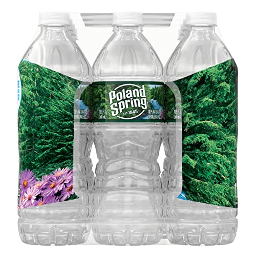 Poland Spring Maine Spring Water Bottles, 24 Pack – Crisp, Still Bottled Water with Naturally Balanced Occurring Minerals & Electrolytes for Taste - 16.9 Fl Oz