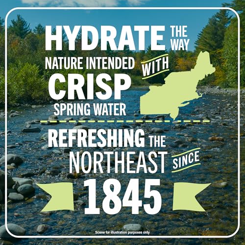 Poland Spring Maine Spring Water Bottles, 24 Pack – Crisp, Still Bottled Water with Naturally Balanced Occurring Minerals & Electrolytes for Taste - 16.9 Fl Oz