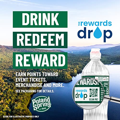 Poland Spring Maine Spring Water Bottles, 24 Pack – Crisp, Still Bottled Water with Naturally Balanced Occurring Minerals & Electrolytes for Taste - 16.9 Fl Oz