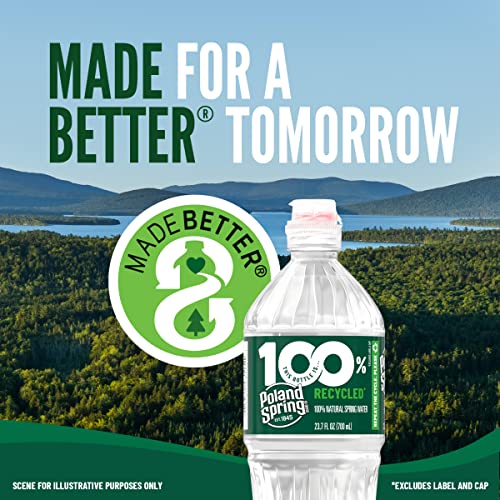 Poland Spring Maine Spring Water Bottles, 24 Pack – Crisp, Still Bottled Water with Naturally Balanced Occurring Minerals & Electrolytes for Taste - 16.9 Fl Oz