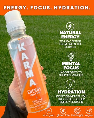 Karma Energy Drink – 12 Pack, Blueberry Watermelon Caffeinated Water with Cognizin® Nootropics, Vitamins & Immune Support, Low Calorie