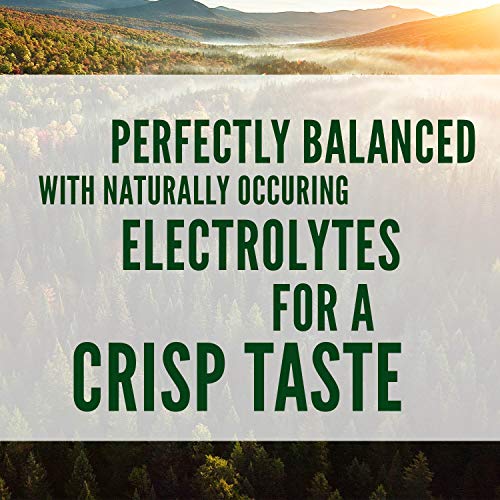Poland Spring Maine Spring Water Bottles, 24 Pack – Crisp, Still Bottled Water with Naturally Balanced Occurring Minerals & Electrolytes for Taste - 16.9 Fl Oz