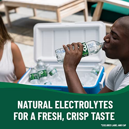 Poland Spring Maine Spring Water Bottles, 24 Pack – Crisp, Still Bottled Water with Naturally Balanced Occurring Minerals & Electrolytes for Taste - 16.9 Fl Oz