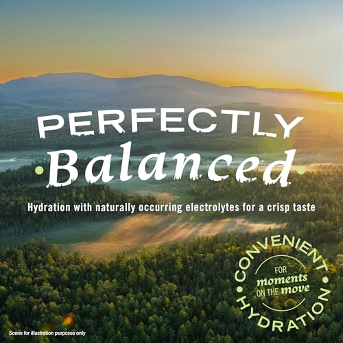 Poland Spring Maine Spring Water Bottles, 24 Pack – Crisp, Still Bottled Water with Naturally Balanced Occurring Minerals & Electrolytes for Taste - 16.9 Fl Oz