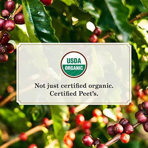 Peet's Coffee, Dark Roast Single Serve Coffee Pods - Major Dickason's Blend 75 Count (1 Box of 75 Pods)